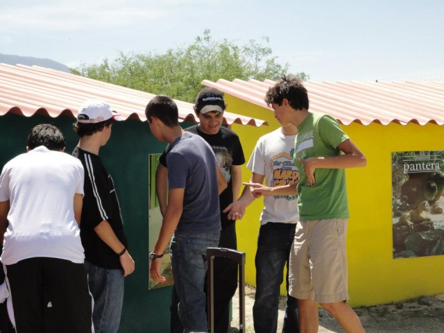 Campamentos para niños